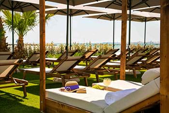 Patio sunbeds